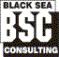 Black Sea Consulting